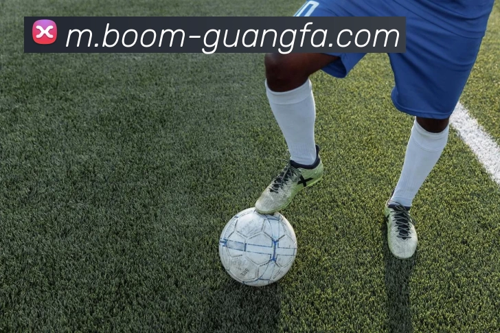 广发体育平台生态图